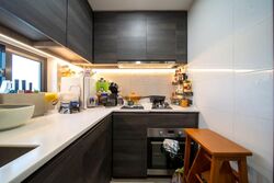 Sims Urban Oasis (D14), Condominium #553472401